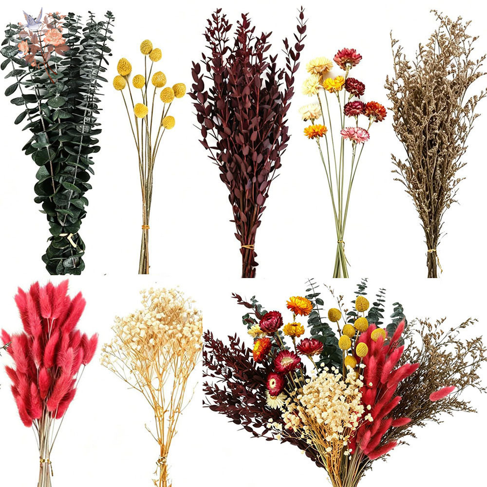 Florist Supply Bulk - Getrocknete Blumen Großpackung 7 Sorten Natürliche