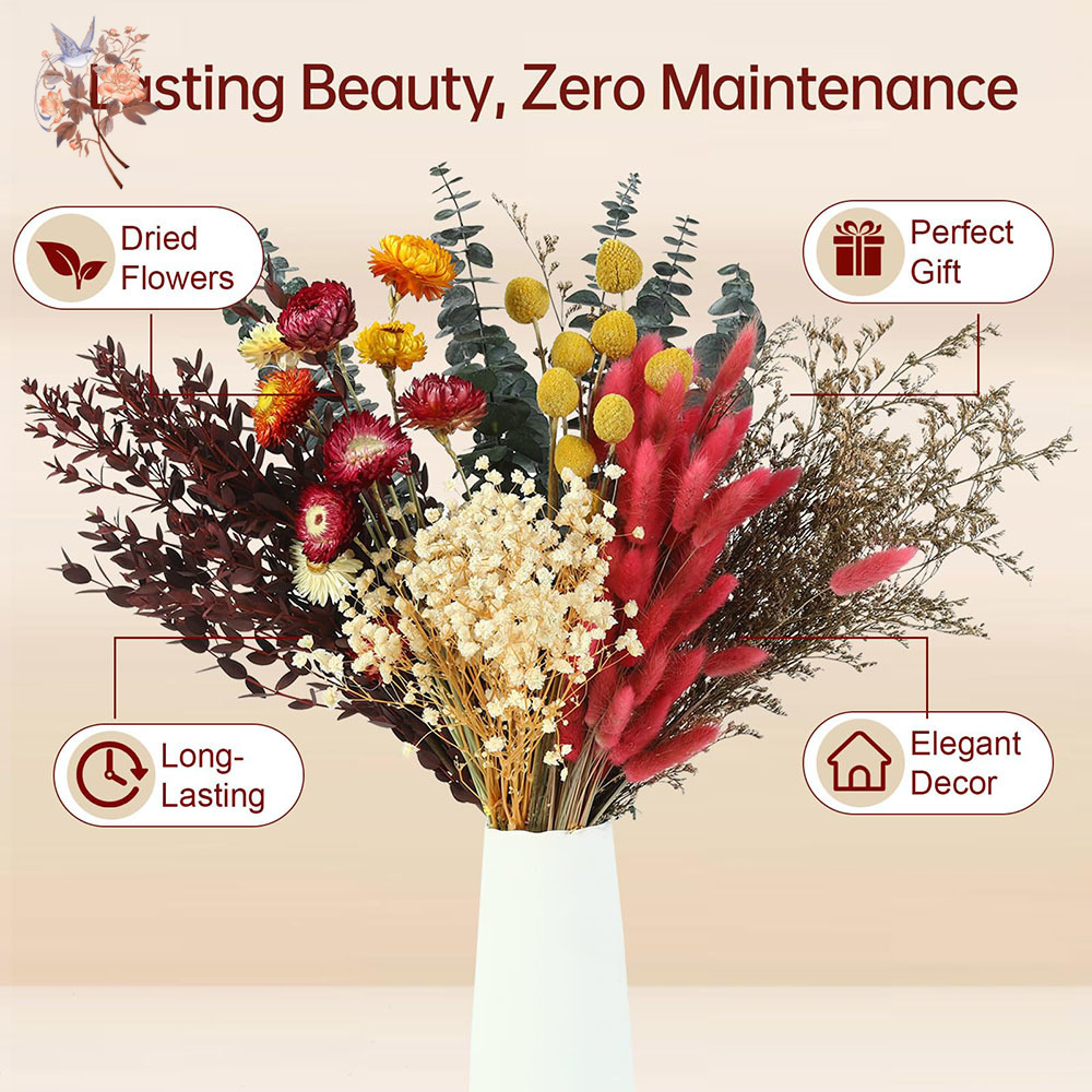 Getrocknete Blumen Großpackung – Florist Supply Bulk Bewertung und Preis